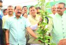 प्रदेश में हरेला का त्योहार मनाओ, धरती माँ का ऋण चुकाओ” थीम पर किया गया पौधा रोपण
