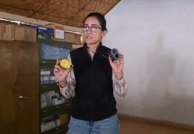 देशभर में जल्द होने जा रही टाइगर सेंसेस, वाइल्ड लाइफ इंस्टीट्यूट ने दी वन कर्मियों को ट्रेनिंग देशभर में टाइगर सेंसेस की तैयारी हुई तेज