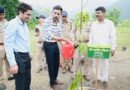 हरेला पर्व पर हरियाली का संकल्प के साथ  जिलाधिकारी डॉ0 आशीष चौहान ने किया वृक्षारोपण